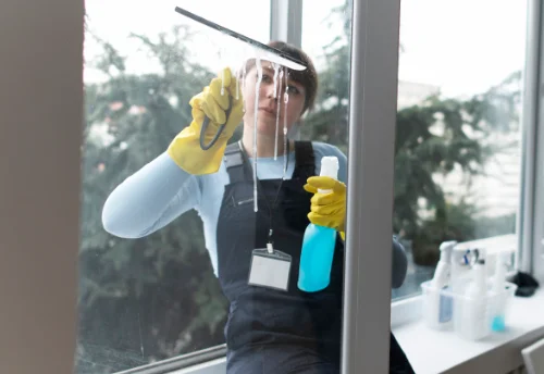 Nettoyage de vitres intérieures et extérieures à Val-et-Châtillon